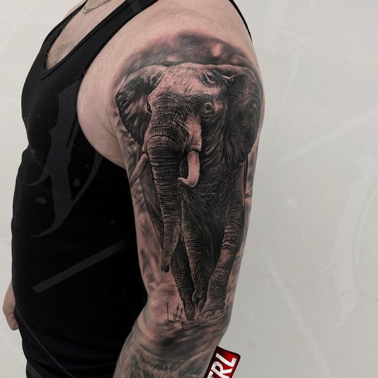 Tatuaż elefant  słoń w motywie zwierzęta i stylu realistyczne na ramieniu