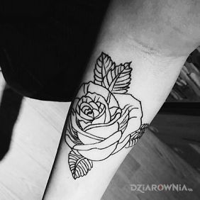 Tatuaż Róża na przedramieniu motyw: kwiaty