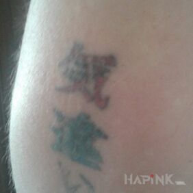 Tattoo Inscription depicting illusions on the ribs motif: lettering