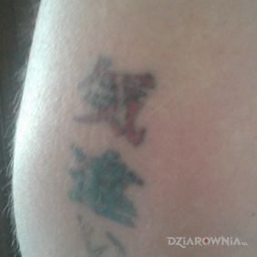Tatuaż Napis przedstawiający iluzje na żebrach motyw: napisy