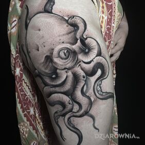 Tatuaż Octopus, ośmiornica na nodze motyw: czarno-szare styl: graficzne / ilustracyjne