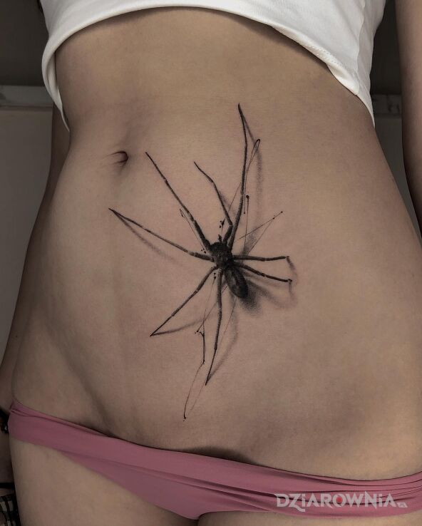 Tatuaż pajaczek idzie do gory w motywie zwierzęta i stylu realistyczne na brzuchu