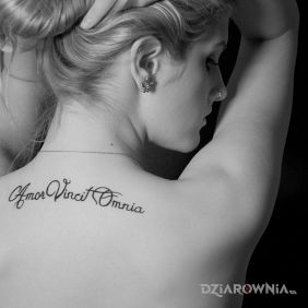 Tatuaż Amor vincit omnia na plecach motyw: napisy