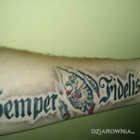 Tatuaż Semper Fidelis na przedramieniu motyw: napisy