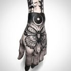 Motyl