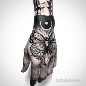 Tatuaż Motyl na dłoni motyw: motyle