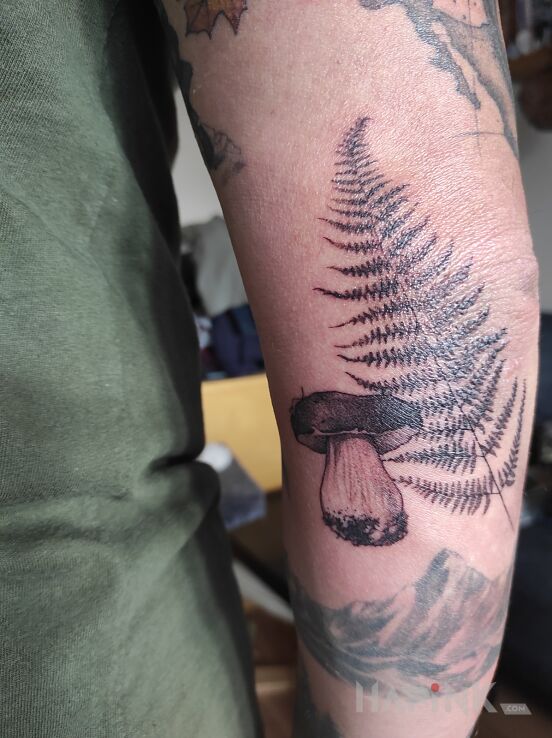 Tattoo Grzyb i paproć in floral motif and realistic style On the arm