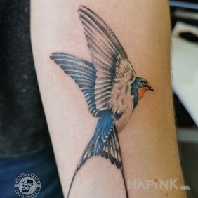 Tattoo Swallow On the arm motif: animals style: realistic
