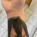 Pomoc - Świeży tatuaż