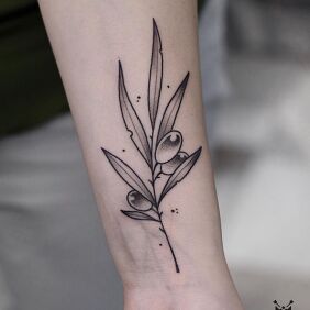 Tattoo OLIVE BRANCH On the arm motif: floral style: dotwork