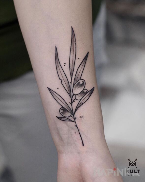 Tattoo GAŁĄZKA OLIWNA in black and gray motif and graphic / illustrative style On the arm