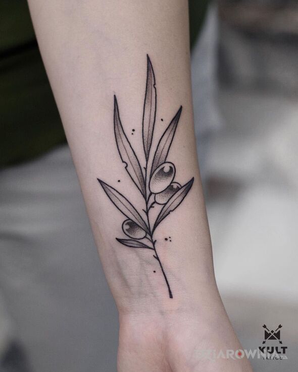 Tatuaż gałązka oliwna w motywie florystyczne i stylu szkic na przedramieniu