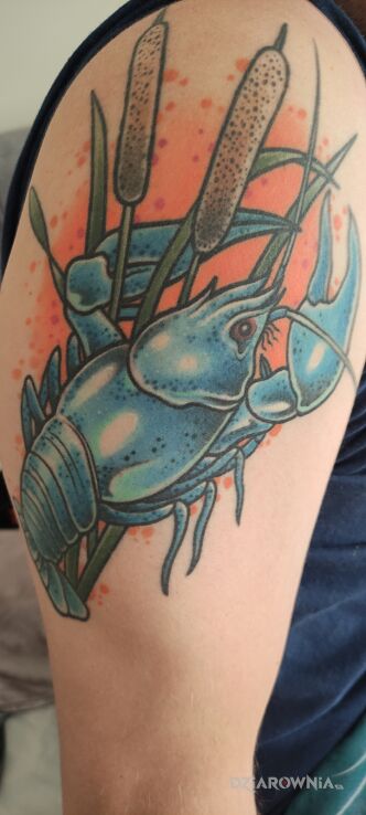 Tatuaż niebieski rak w motywie kolorowe i stylu graficzne / ilustracyjne na ramieniu