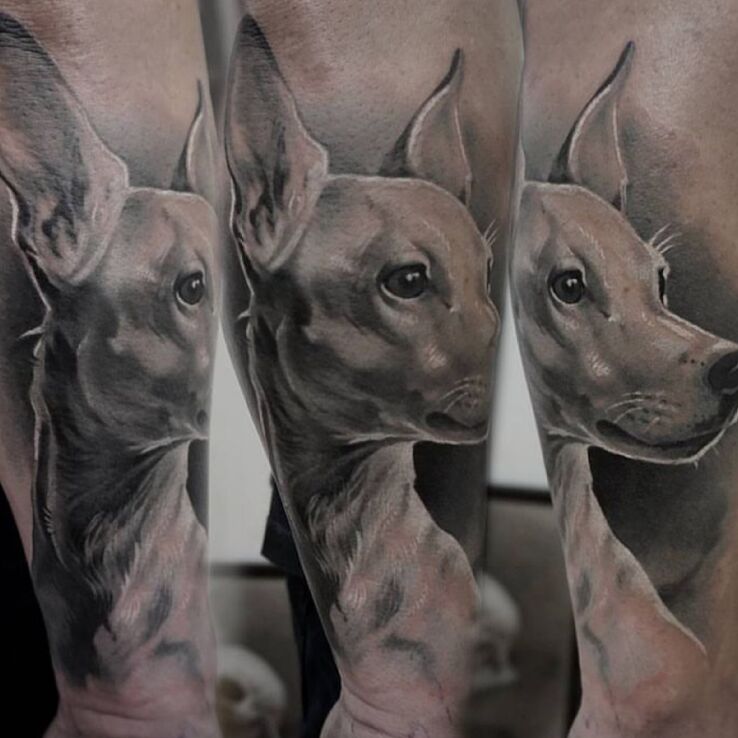 Tatuaż pies  portret  przyjaciel w motywie zwierzęta i stylu realistyczne na przedramieniu