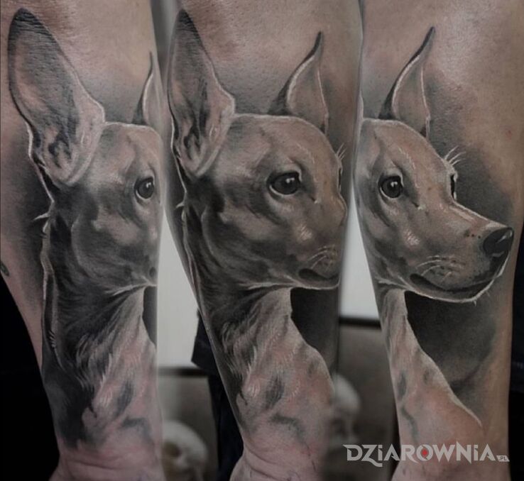 Tatuaż pies  portret  przyjaciel w motywie zwierzęta i stylu realistyczne na przedramieniu