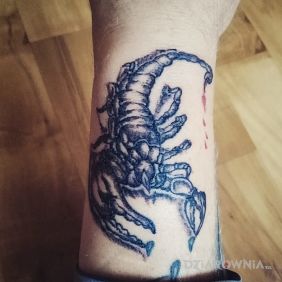 Tatuaż Skorpion na przedramieniu motyw: znaki zodiaku