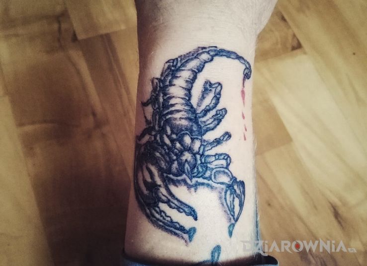 Tatuaż skorpion w motywie znaki zodiaku na przedramieniu