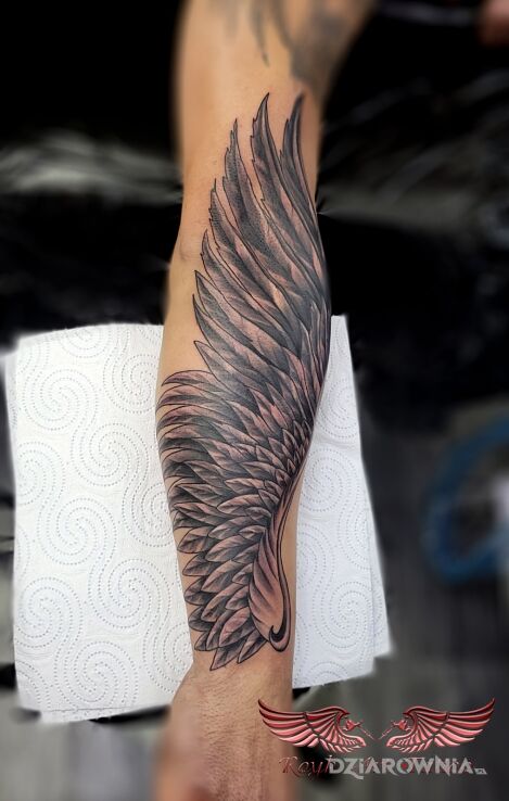 Tatuaż skrzydło w motywie skrzydła i stylu szkic na przedramieniu