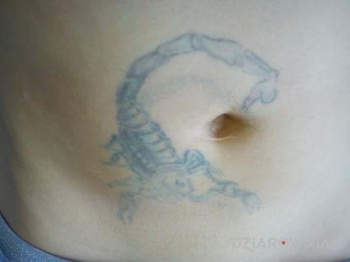 Tatuaż skorpion w motywie znaki zodiaku na brzuchu
