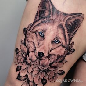 Tatuaż Lisek na nodze motyw: czarno-szare styl: realistyczne