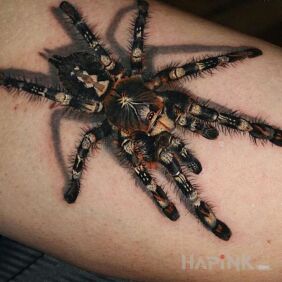 Tattoo Spider on the forearm motif: animals style: realistic