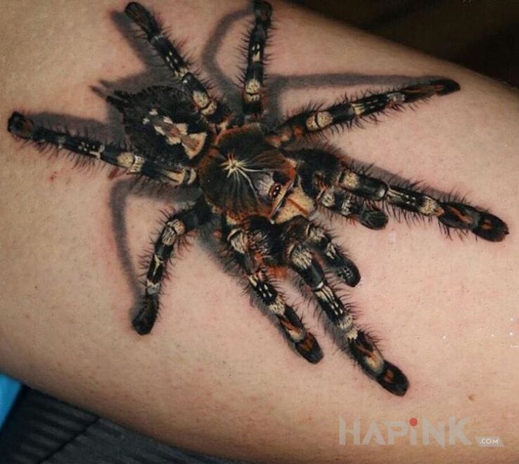 Tattoo Pająk in 3D motif and realistic style on the forearm
