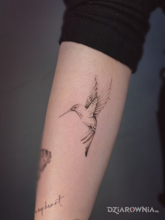 Tatuaż koliber za 2 godziny w motywie natura i stylu realistyczne na przedramieniu