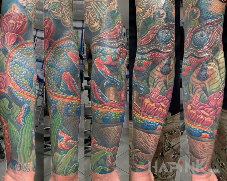 Tattoo Kameleon w kolorze in nature motif and realistic style On the arm