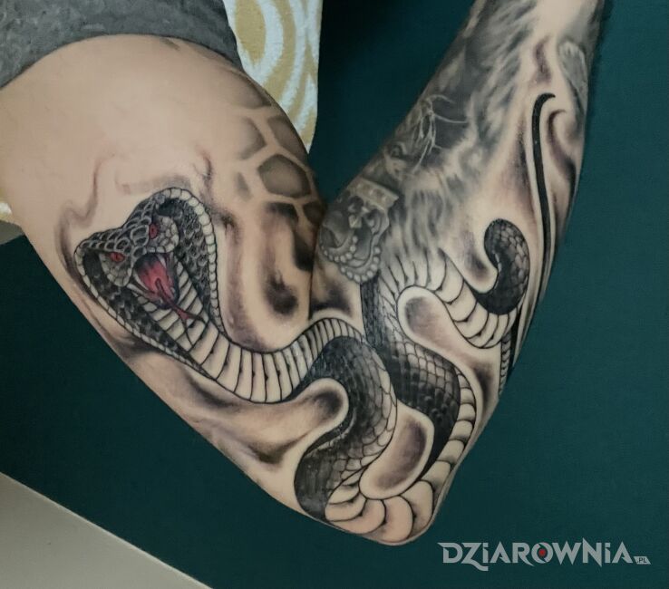Tatuaż cobra w motywie zwierzęta i stylu graficzne / ilustracyjne na bicepsie