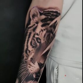 Tattoo Little Tiger On the arm motif: black and gray style: realistic