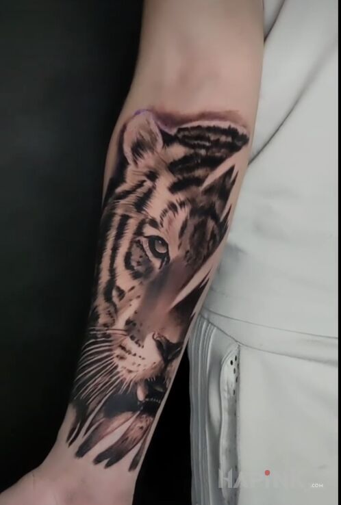 Tattoo Tygrysek in black and gray motif and realistic style On the arm