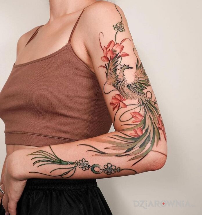 Tatuaż feniks w motywie kolorowe i stylu graficzne / ilustracyjne na ręce