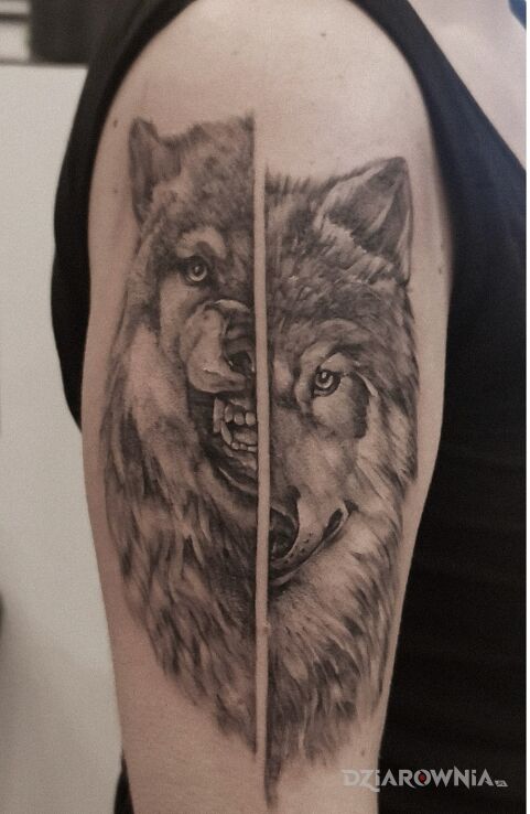 Tatuaż taki wilk- dwa oblicza w motywie natura i stylu dotwork na ręce