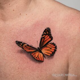 Tatuaż Motyl na klatce motyw: 3D styl: realistyczne