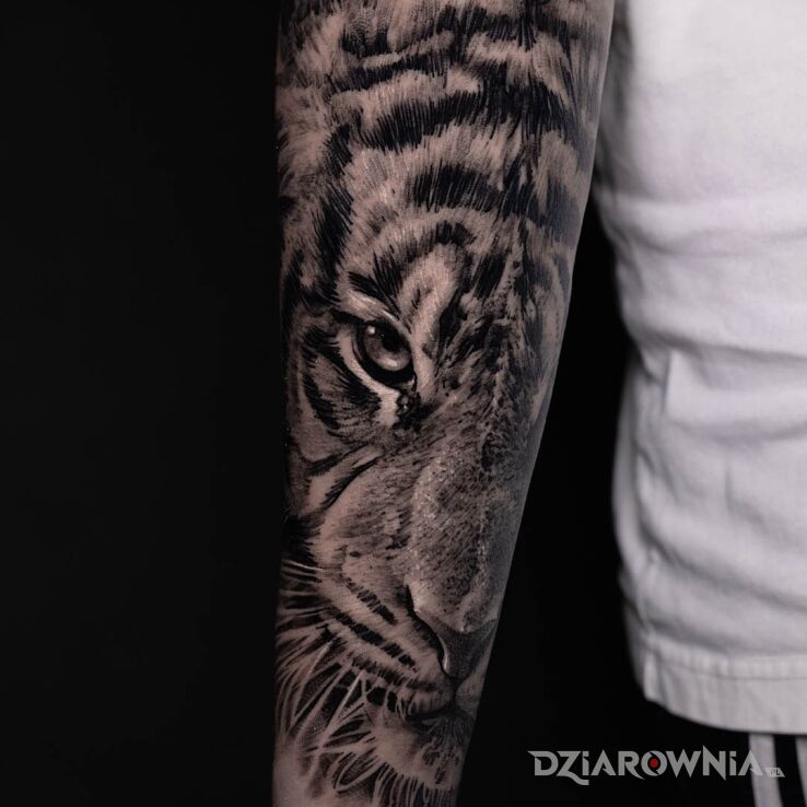 Tatuaż tygrys w motywie natura i stylu realistyczne na nodze
