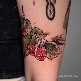 Tatuaż Malinka na ramieniu motyw: kolorowe styl: graficzne / ilustracyjne
