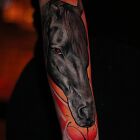 Tatuaż damski kolorowy realistyczny koń na ręce