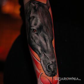 Tatuaż @davincisfox Tatuaż damski kolorowy realistyczny koń na ręce na przedramieniu motyw: zwierzęta styl: realistyczne
