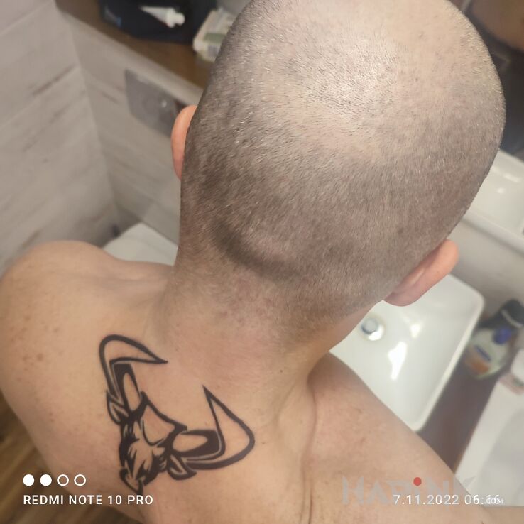 Tattoo Taurus, byk, in animals motif and blackwork / blackout style on the nape