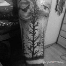 Tatuaż Dark Forest na przedramieniu motyw: zwierzęta