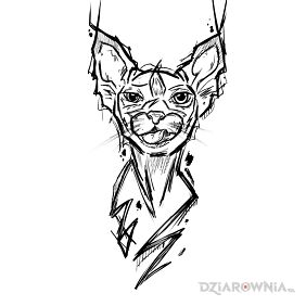 Kotek by Sonka
