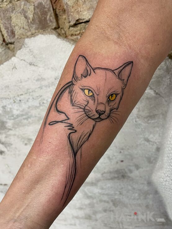 Tattoo Kot z ukrytymi inicjałami in black and gray motif and graphic / illustrative style On the arm