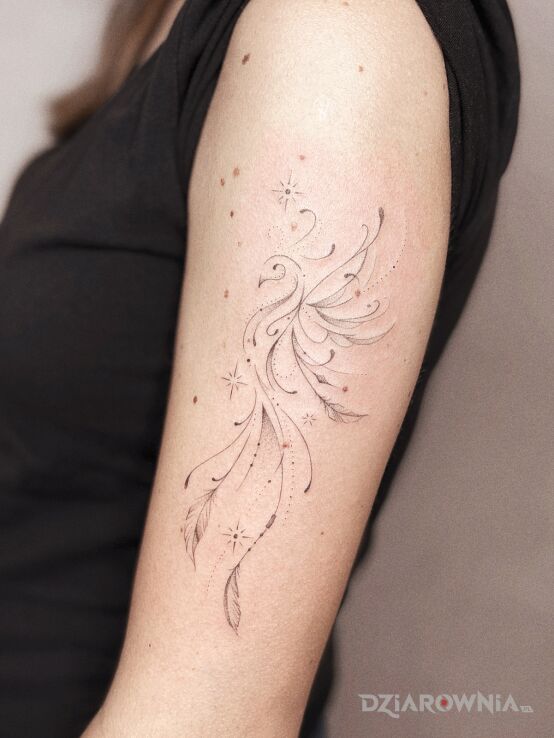 Tatuaż feniks w motywie skrzydła i stylu kontury / linework na ramieniu