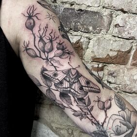 Tatuaż Ćma w przekwitniętych różach na bicepsie motyw: owady styl: dotwork