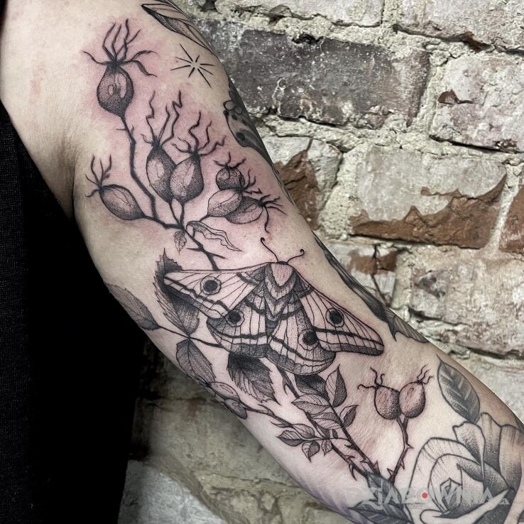 Tatuaż ćma w przekwitniętych różach w motywie florystyczne i stylu dotwork na bicepsie