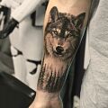 Wycena tatuażu - Tatuaż wilk
