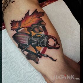Tattoo Stag beetle On the arm motif: animals style: neo-traditional