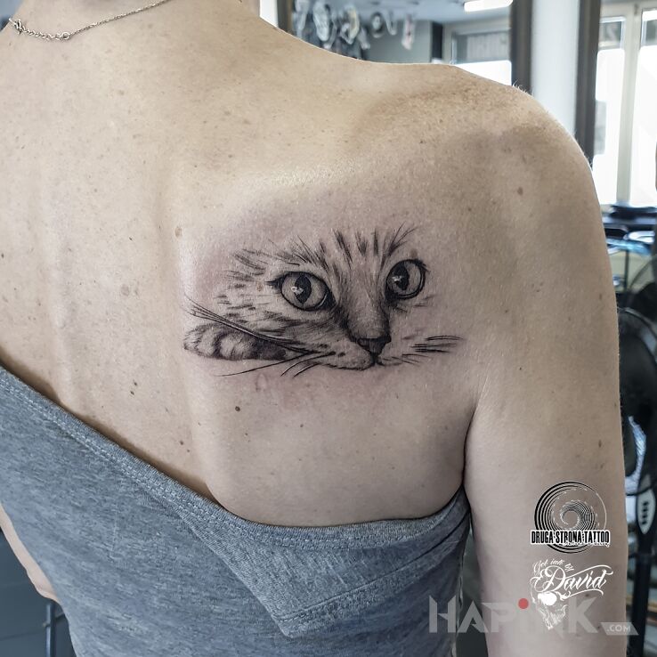 Tattoo Kot, kotek, kotecek :D in black and gray motif and graphic / illustrative style on the back