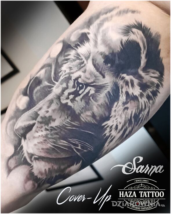 Tatuaż cover lew w motywie zwierzęta i stylu realistyczne na bicepsie