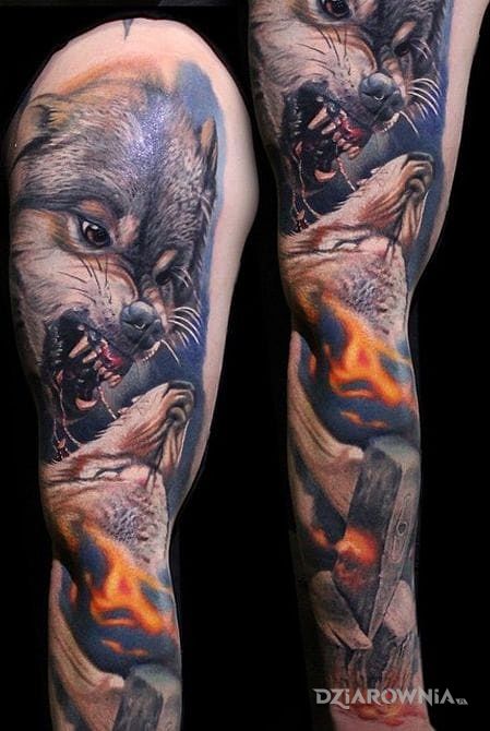 Tatuaż walka wilkow w motywie zwierzęta i stylu realistyczne na ramieniu
